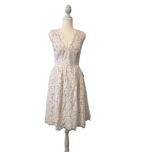 Lulus Ivory Lace A-Line Knee Length Dress S V-Neck Sleeveless Feminine Romantic